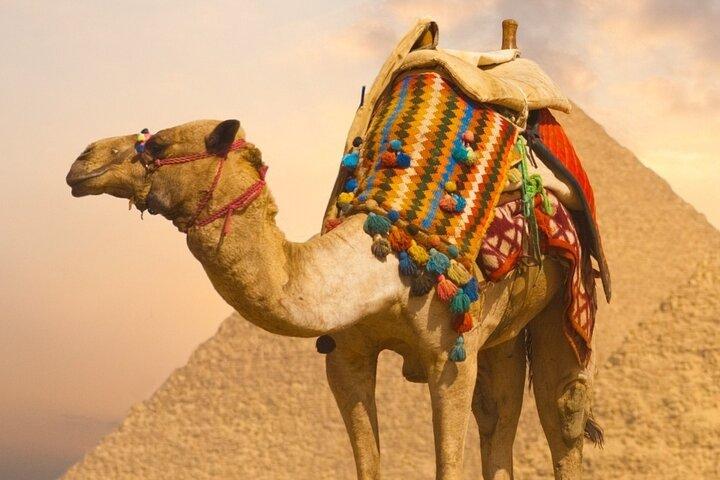 Full Day tour Pyramids sphinx Memphis Saqqara and Dahshor