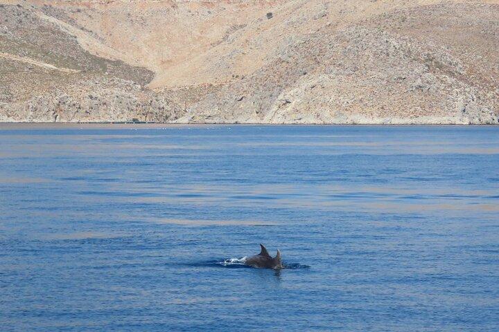 The Santa Maria 3 Island Cruise in the Aegean w/ Free Audio Guide
