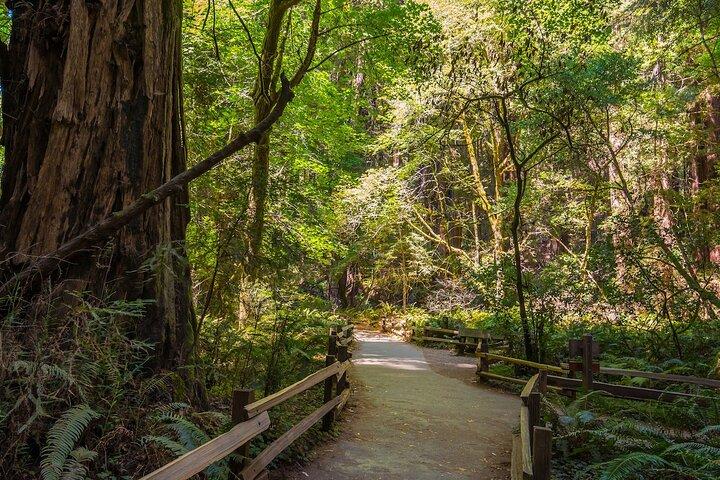 San Francisco, Muir Woods, Sausalito and Optional Alcatraz Tour