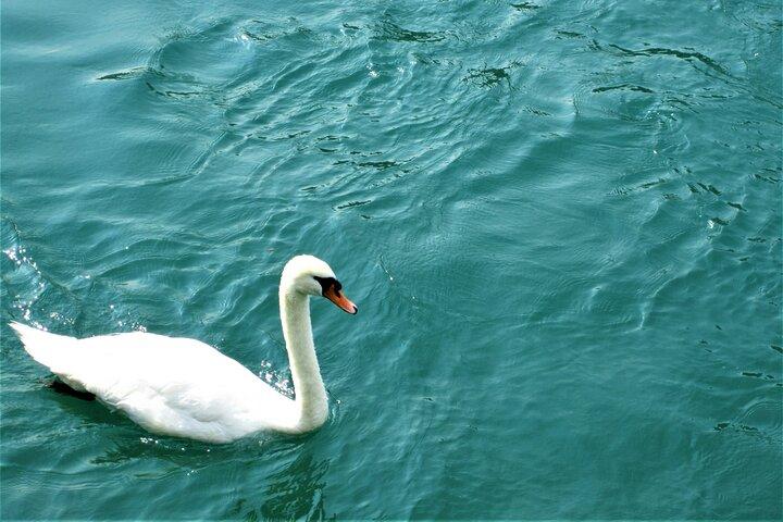 Sightseeing Cruise on Lake Geneva with Wine and Aperitif