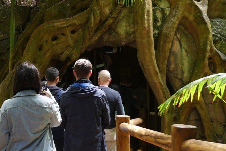 Brisbane: Daytime Scenic Rim Glow Worm Tour + Hop on Hop off Bus