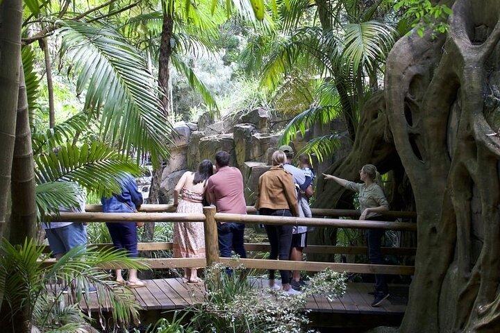 Brisbane: Daytime Scenic Rim Glow Worm Tour + Hop on Hop off Bus