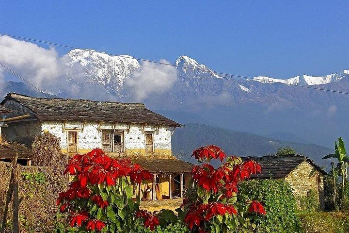 5 Days Ghorepani Poonhill Trek