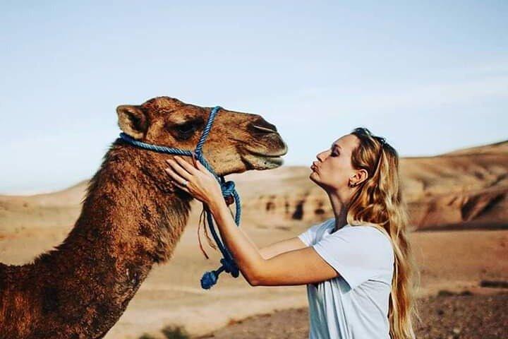 Atlas Mountains and Three Valleys Day Trip from Marrakech
