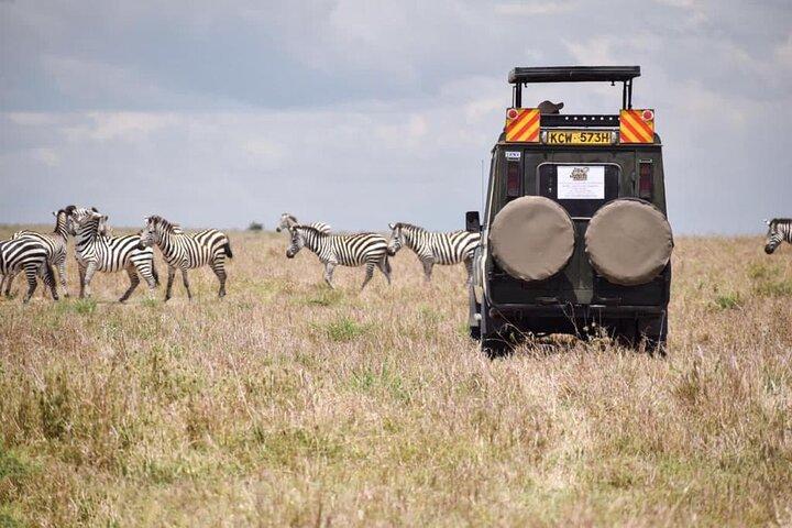 6 Day Nairobi-Amboseli-Maasai Mara Private Semi Luxury Tour