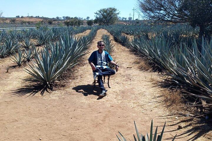 Private Tequila Tour in Guadalajara