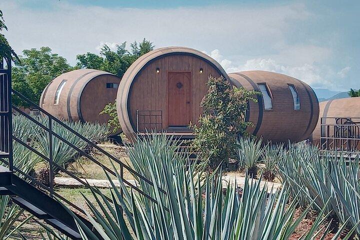 Private Tequila Tour in Guadalajara