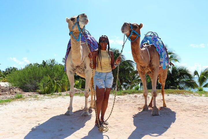 ENJOY UNIQUE CAMEL RIDE in Puerto Morelos with Transportation
