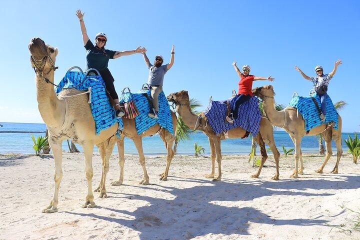 ENJOY UNIQUE CAMEL RIDE in Puerto Morelos with Transportation