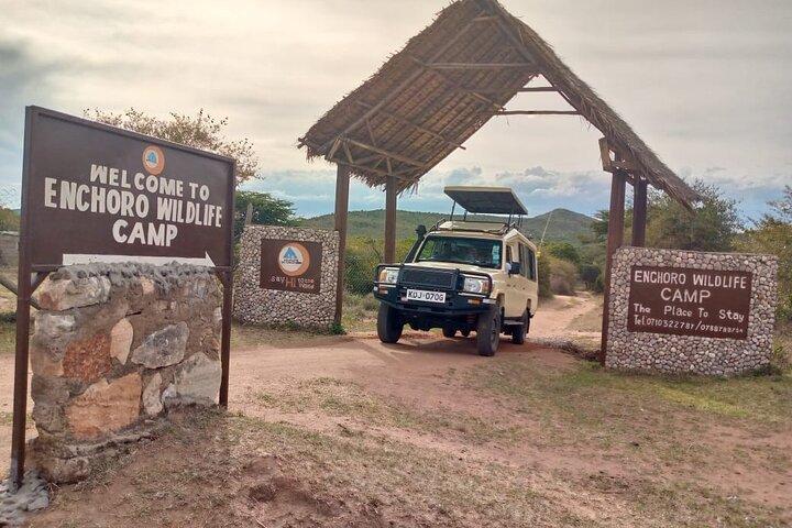 7 Days Amboseli-Lake Naivasha-Lake Nakuru & Masai Mara