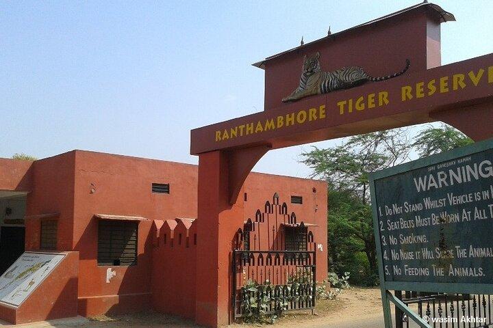 Day Trip to Ranthambore Tiger Reserve from Jaipur