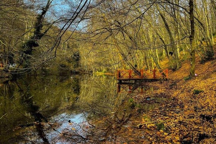 Discover Secret Lakes by Private Hiking Tour (w/Lunch, Transfers)