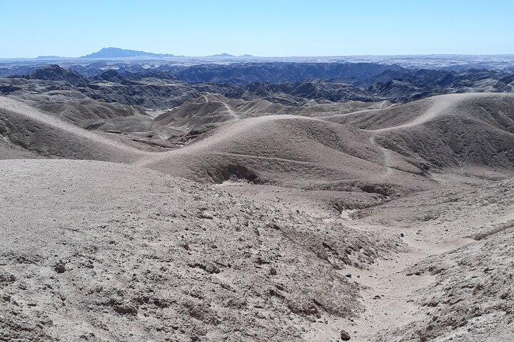 Sandwich harbour and Welwitschia Tour