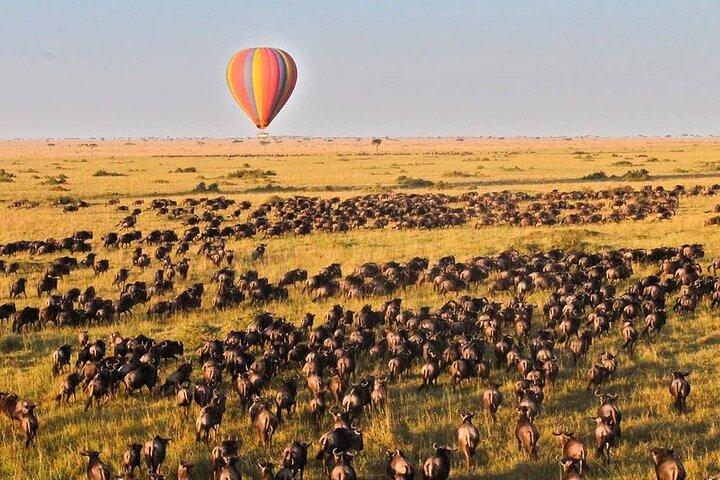 3 Days Maasai Mara Safari