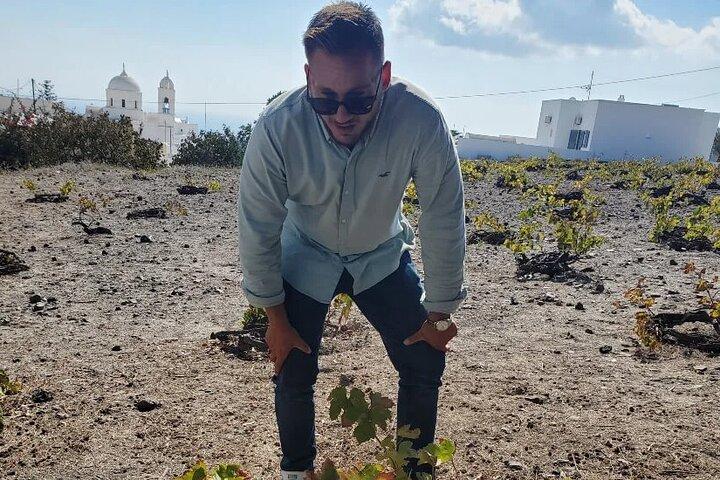 Best Of Santorini Private Tailor Made Tour