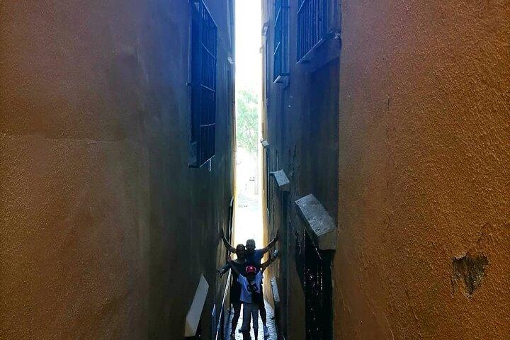 Half day Private Tour 4h Historical Lisbon Center w/ Tasting
