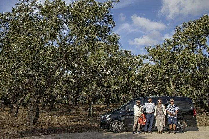 Half day Private Tour 4h Historical Lisbon Center w/ Tasting