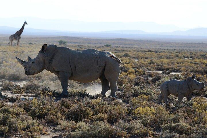 From Arusha: 5-Day Valleys and Highlands Safari Ngorongoro