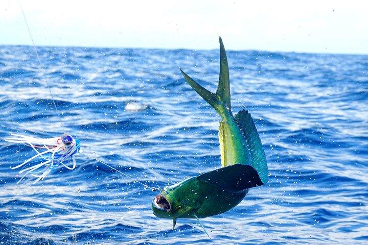 1/2 Day 5 Hour Offshore Fishing Charter