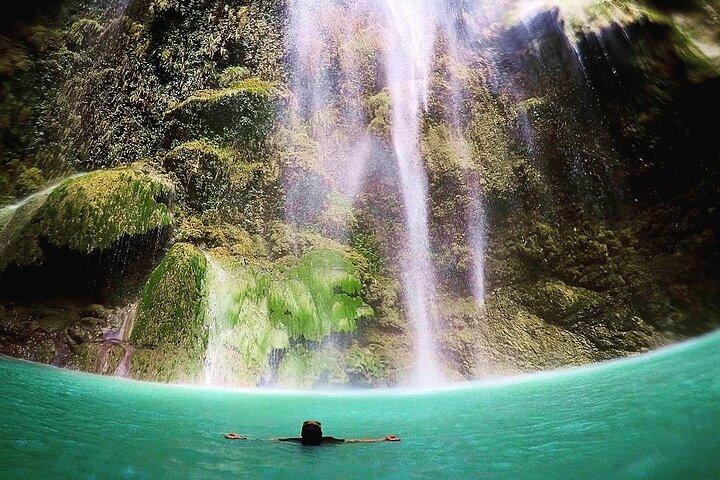 Cebu:Oslob Whaleshark + Tumalog & Sumilon Sandbar (Hotel Pickup)