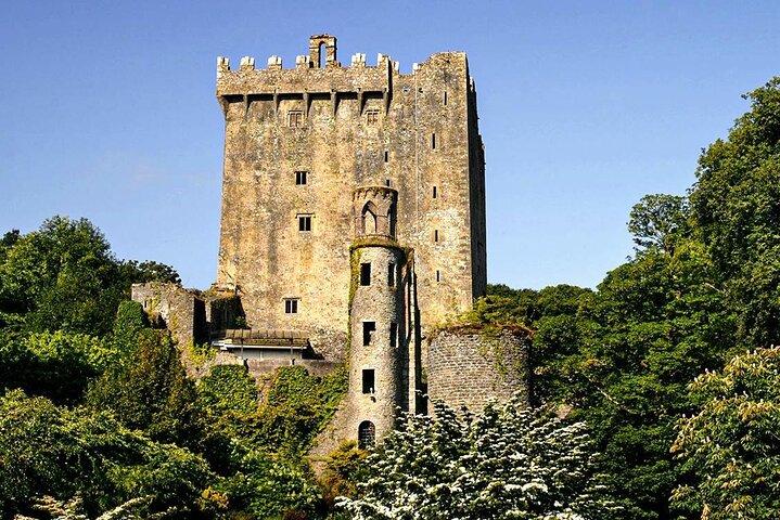 Blarney Castle and Kinsale Tour from Cork