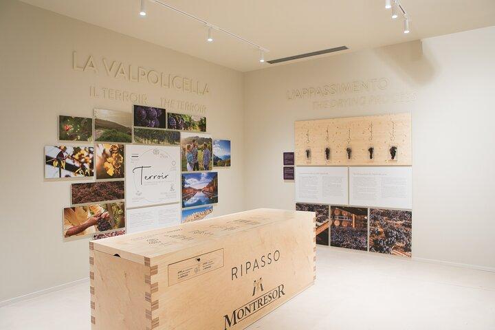Valpolicella Wine Experience at Montresor winery