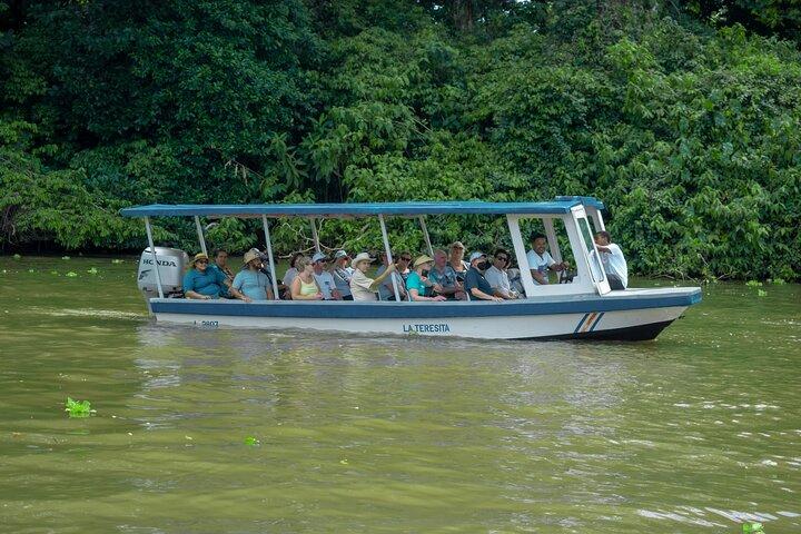 Private Tortuguero Canals Tour & Puerto Limón Highlights