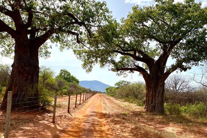 10 Days Luxury Kenya Big 5 Wildlife Adventure Private Tour