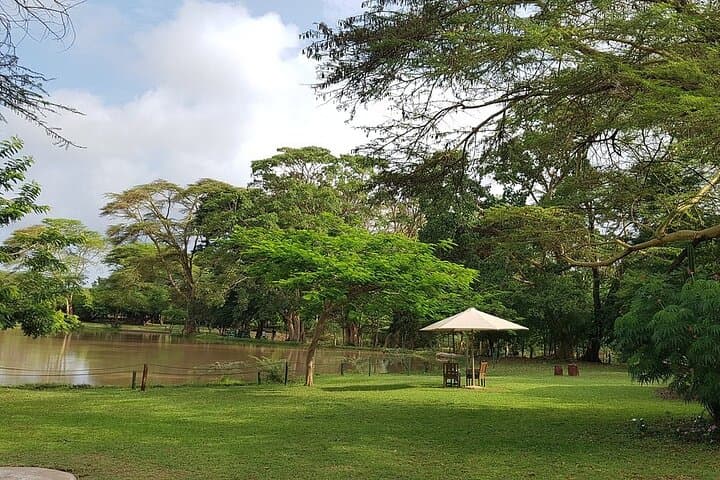 10 Days Luxury Kenya Big 5 Wildlife Adventure Private Tour