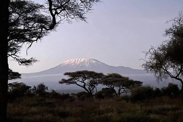 10 Days Luxury Kenya Big 5 Wildlife Adventure Private Tour