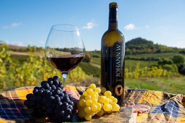 Private PICNIC in Bohemian Vineyards and Wine Tasting 4WD Tour