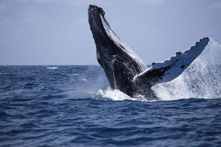 Best of Sri Lanka 8 Days All Inclusive Tour