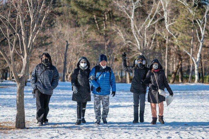Make Your Trip Around Nami Island With an Expert(DSLR option)