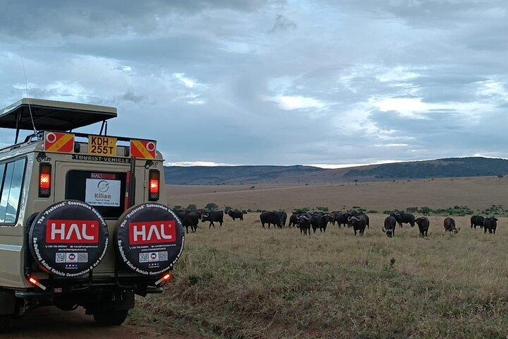 3 Days Maasai Mara Shared Safari
