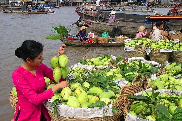 Cai Rang Floating Market & Mekong Delta 2-Day Tour from HCM City