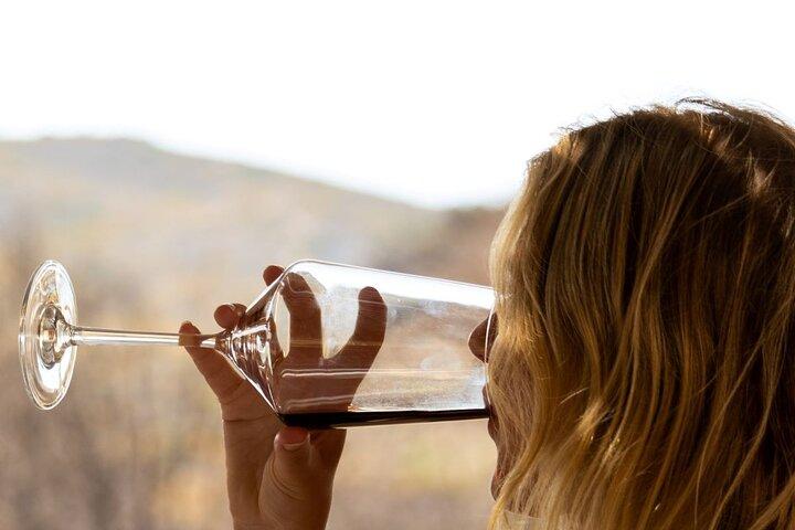 Traditional Greek COOKING class and Wine Tasting in Rhodes
