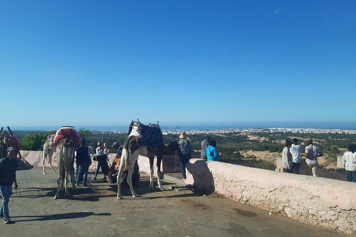 Essaouira Ctiy From Marrakech : Day trip to