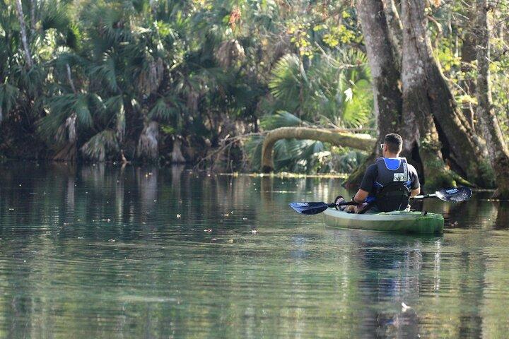 Silver Springs Manatee Kayak Tour
