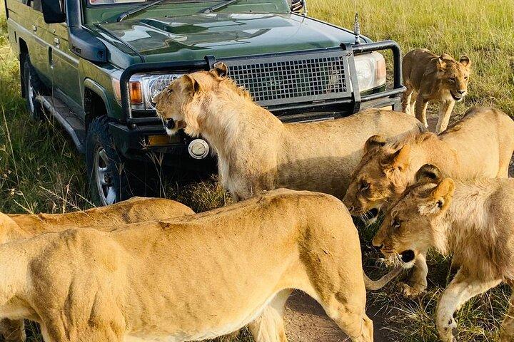 6 Days Kenya Budget Group Safari