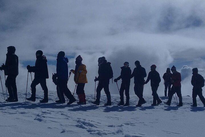 Private Full Day Tour to Kilimanjaro National Park