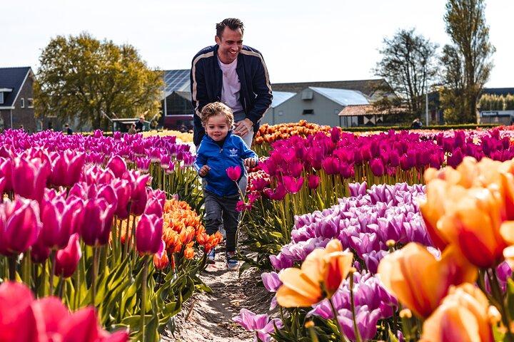 Private Keukenhof, Gardens, Windmills, cheese tour from Amsterdam