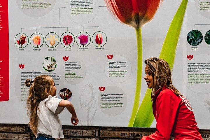 Private Keukenhof Gardens and Tulip Fields Tour from Amsterdam