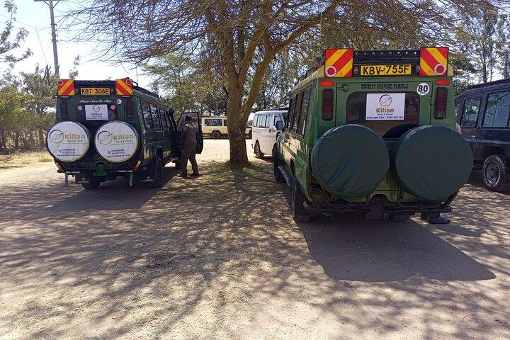 3 Days Maasai Mara Shared Safari