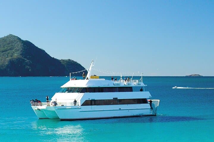From Sydney: Port Stephens Dolphin, Koalas, 4WD & Sandboarding