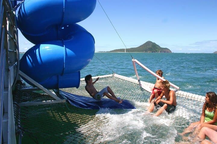From Sydney: Port Stephens Dolphin, Koalas, 4WD & Sandboarding