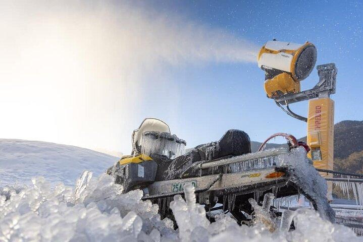 1 Day Perisher Snow Tour