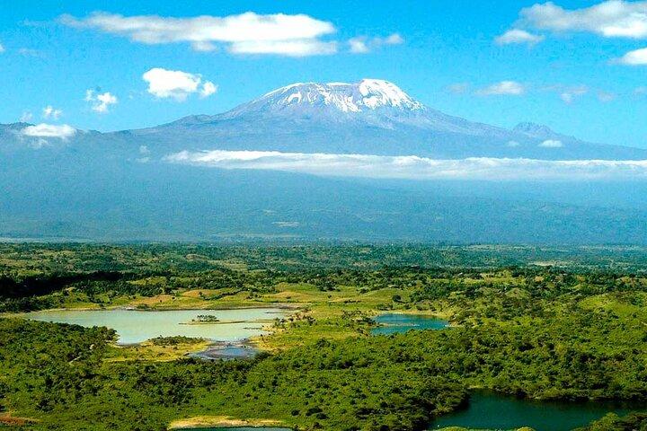 From Arusha: 7 Days Classic Safari Central Northern Circuit