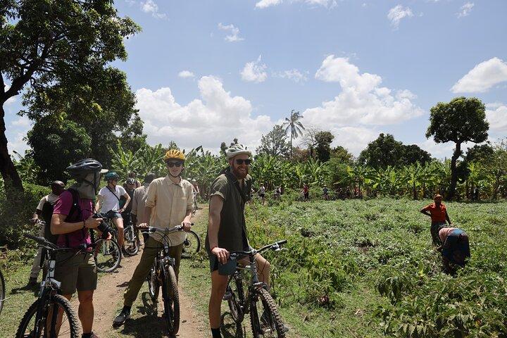 From Arusha: 7 Days Classic Safari Central Northern Circuit