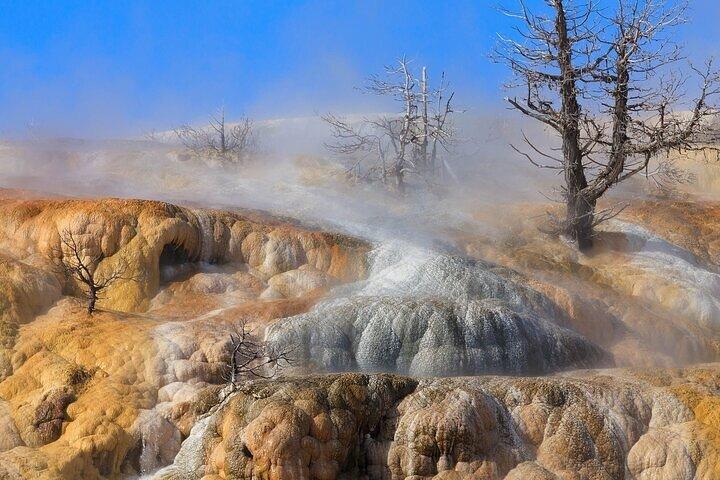 Best Of Yellowstone Full Day Nat'l Park Tour From Bozeman