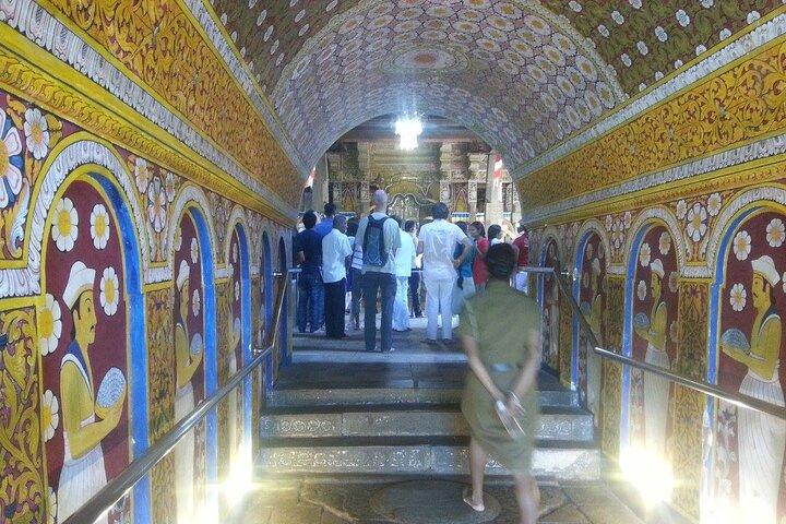 Two Days Cultural Tour Sigiriya Dambulla and Kandy